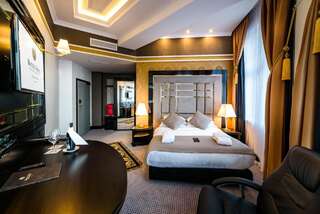 Отель Hotel Dana Business & Conference Щецин Улучшенный двухместный номер с 1 кроватью-1